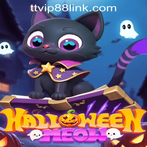 Exploring HalloweenMeow: A Spellbinding Journey into Spooky Casino Fun